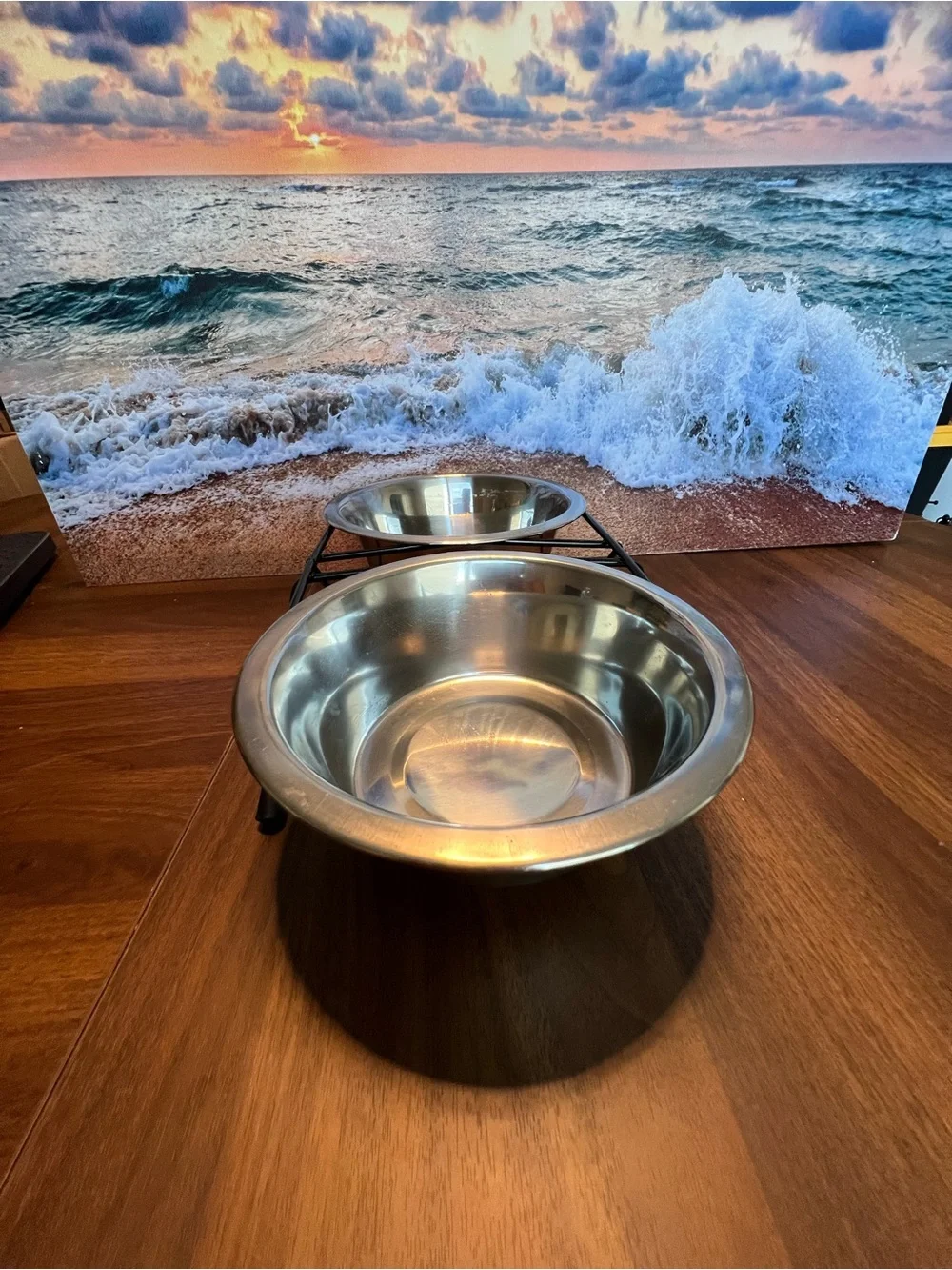 Double Stainless Steel Pet Bowl Set with Black Elevated Stand